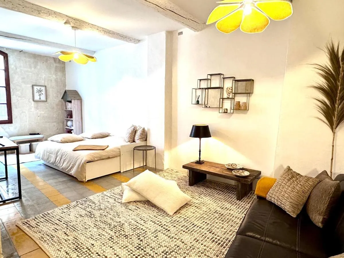 La Maison Benezet Arles Roquette Holiday home